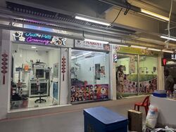 Serangoon North Avenue 2 (D19), Shop House #484801491